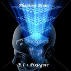 Picture for song 'Phantom Brain + Pixieguts' by artist 'Electromagnetic impulses'