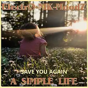 Picture for song 'Save You Again' by artist 'ElectrO-NIK-MoodZ'
