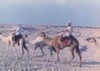 Picture for song 'Kullana Mashena' by artist 'El-Mahdi'