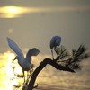 Picture for song 'Fields Of Life' by artist 'Emotive Touch'
