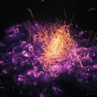 Picture for song 'Revenge of Gaia' by artist 'entee'