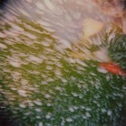 Picture for song 'I Go 2 Find Myself' by artist 'Entourage'