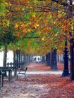 Picture for song 'Autumn' by artist 'equality'