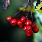 Picture for song 'September' by artist 'equality'