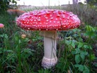 Picture for song 'Fairytale Pretty' by artist 'ErikLeeMN'