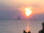cover pic