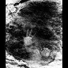 Picture for song 'On Being and Nothingness' by artist 'FAF'