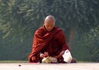 Picture for song 'The Lonliest Monk' by artist 'Fantasticleese'
