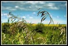 Picture for song 'Hope you know' by artist 'Feardogg'