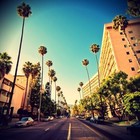 Picture for song 'Forever' by artist 'Feelz Beatz'