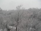 Picture for song 'Its Snowing In Dubuque' by artist 'FingerSpasm'
