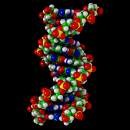 Picture for song 'Genetic Error' by artist 'Firefox'