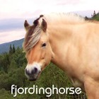 Picture for song 'Only Sky Above (Thunder In The Valley)' by artist 'Fjording Horse'