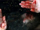 Picture for song 'Bleed' by artist 'FlatlineBeats'