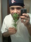 Picture for song 'fo da weed' by artist 'FlatLine MuzikGroup (FLMB)'