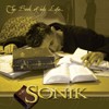 Picture for song 'THE BOOK OF MY LIFE - Sonik' by artist 'Flavor Radio Network'