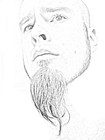 Picture for song 'Looking Up At The Tree' by artist 'ForeverGrasping'