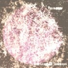 Picture for song 'horizontal descent' by artist 'fornever'