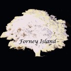 Picture for song 'What We Lack/The Fare' by artist 'Forney Island'