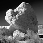 Picture for song 'White Rock' by artist 'Fragile Forest'