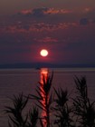 Picture for song 'Träume' by artist 'Frankfurt Dialog Company'