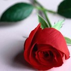 Picture for song 'My DREAM GIRL' by artist 'FULLMOON productions'