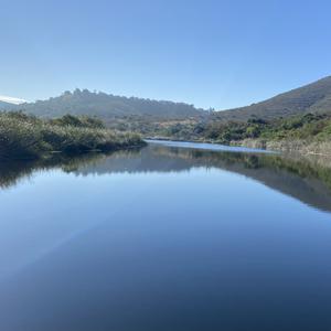 Picture for song 'Fish Cake' by artist 'Gagmesharkoff'