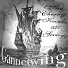 Picture for song 'Gannetwing - Had Away Tom' by artist 'gannetwing'