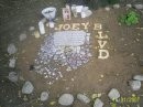 Picture for song 'RIP Joey Tanner' by artist 'Gertrude Property'