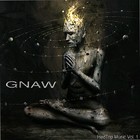 Picture for song 'Flood' by artist 'GNAW (USA)'