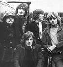 Picture for song 'Green is the colour - PINK FLOYD' by artist 'god of guitar85'