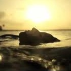 Picture for song 'Smooth - Feel It All Around' by artist 'Gold Rush Beats'
