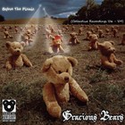 Picture for song 'The Floor's The Limit' by artist 'Gracious Bears'