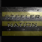 Picture for song 'Steeler Nation2009' by artist 'Granati Brothers'