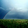 Picture for song 'Passage to July' by artist 'greenminstrey'