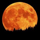 Picture for song '0272 full moon 8/28/2009' by artist 'greg ralls'