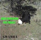 Picture for song 'what the' by artist 'gwamba'