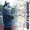 Picture for song 'Leaving the Con(vention) (parody of "Fool")' by artist 'Halfshell'