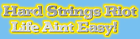 Picture for song 'Life Aint Easy!' by artist 'Hard Strings Riot'