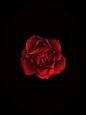 Picture for song 'Old Dayz Featuring Lisa Gallo' by artist 'Hard Target'