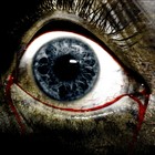 Picture for song 'CRADLE TO THE CASKET' by artist 'Headroom Productions'