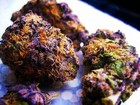 Picture for song '"Get High 2 Dis (INSTRUMENTAL - CHEAP)"' by artist 'headRx The Fix Inc'