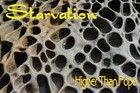 Picture for song 'Starvation (Radio Edit)' by artist 'Higher Than Pope'