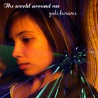 Picture for song 'The world around me' by artist 'Hikaru Kilinsu'
