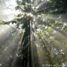 Picture for song 'october sun' by artist 'HollowMusic'