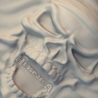 Picture for song 'Huinca Nguillatun' by artist 'Huinca'