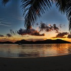 Picture for song 'Island Dreams' by artist 'iamonebeats'