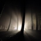 Picture for song 'Light and Shadow' by artist 'Igel-one'