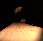 Picture for song 'Tribute 2 Grandpa (2004)' by artist 'ILL NEMESIS'