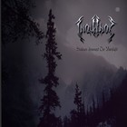 Picture for song 'Fields of Mourning (Demo version)' by artist 'Inquinok'